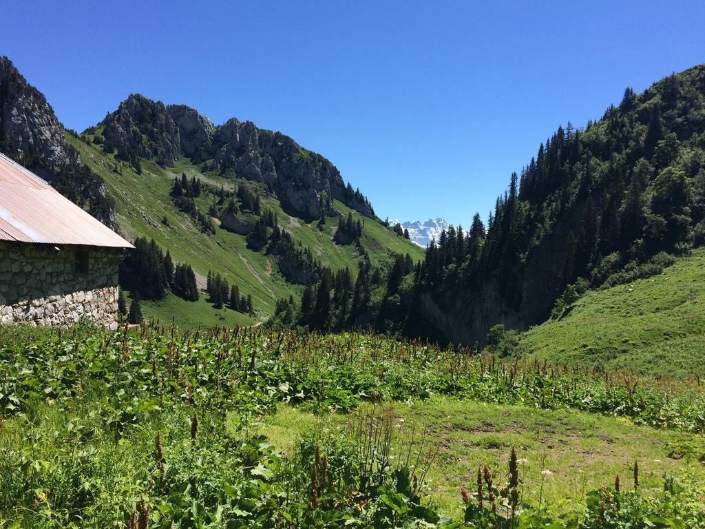 Les Balcons Du Leman Bed and Breakfast Thollon-les-Memises Esterno foto