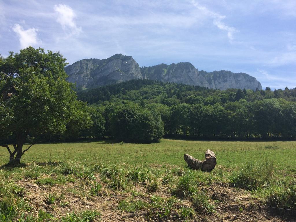 Les Balcons Du Leman Bed and Breakfast Thollon-les-Memises Esterno foto