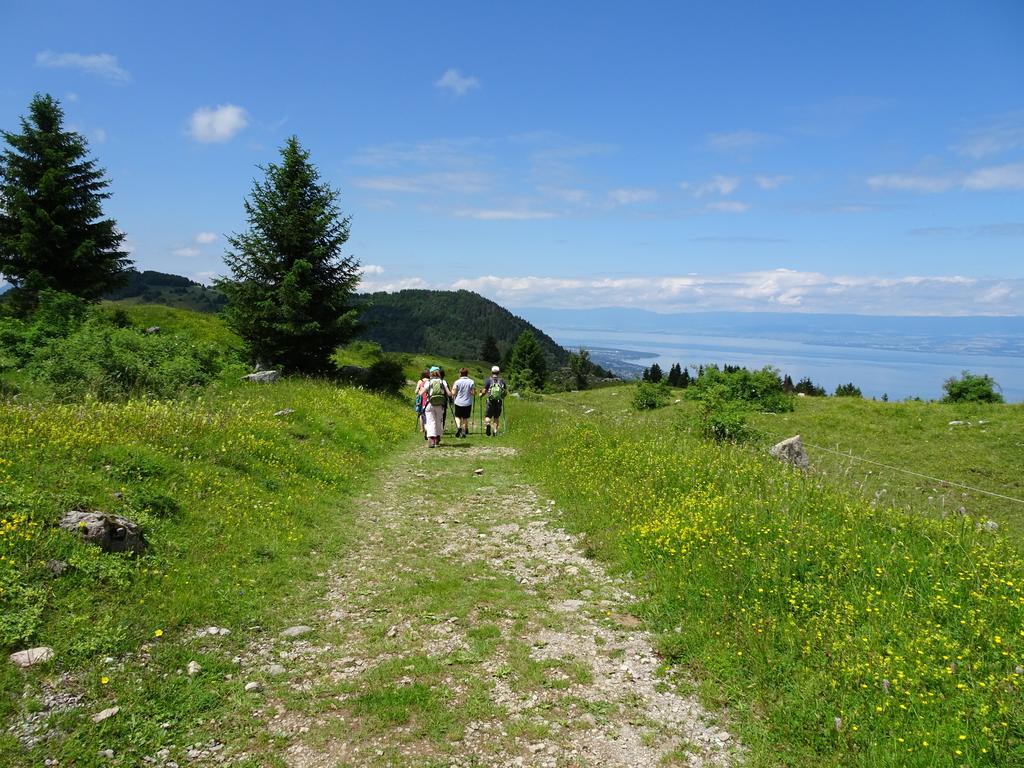 Les Balcons Du Leman Bed and Breakfast Thollon-les-Memises Esterno foto
