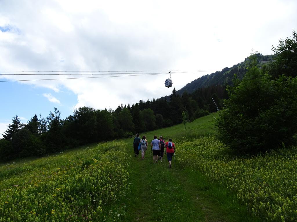 Les Balcons Du Leman Bed and Breakfast Thollon-les-Memises Esterno foto